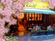 オリオール AUREOLEの写真1