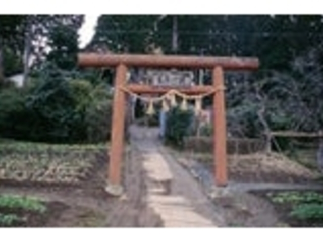 荒はばき神社の写真1