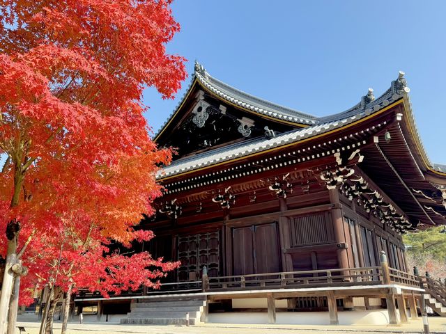 仁和寺