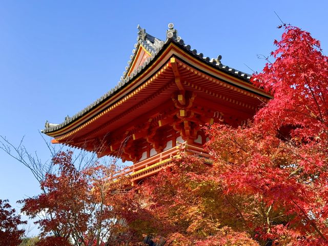 仁和寺