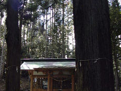 大山祇神社の写真1