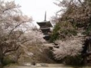 安来 清水寺の写真2
