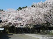久妙寺の写真2