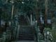大水上神社の写真2