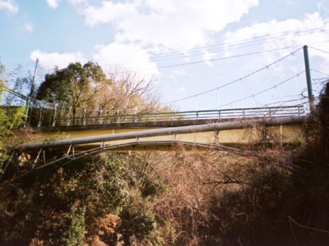 太郎吊橋の写真1