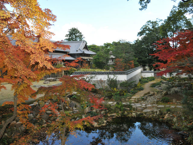 紅葉の時期
_長府毛利邸