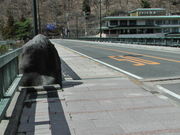 鬼怒岩橋の写真3