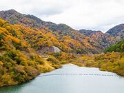 宇曽川ダムの写真1