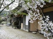 八塔寺ふるさと村民俗資料館の写真2