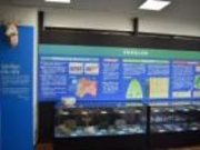 北条鹿島博物展示館(かしまーる)の写真2