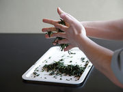 茶の文化館の写真4