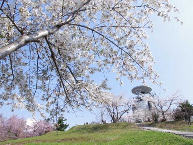 東明公園_東明公園