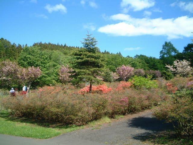 落部公園の写真1