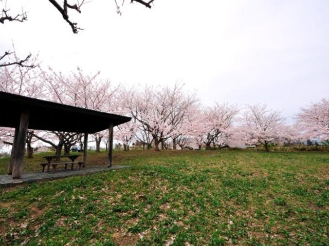 花岡公園