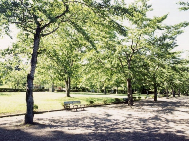 柏葉公園の写真1