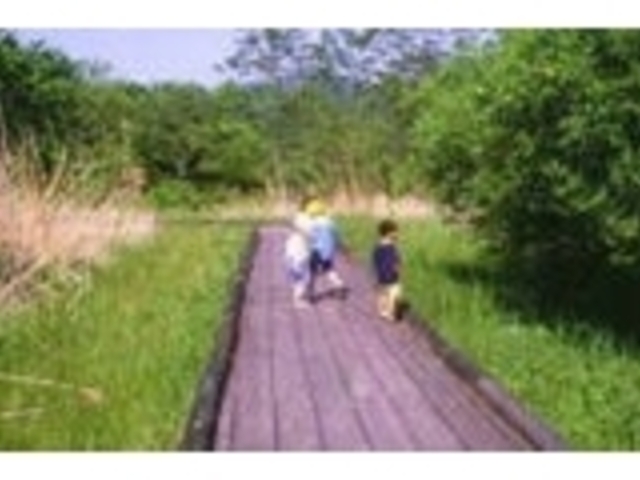 湿性植物園(みちのく公園内、水のひろばゾーン)の写真1