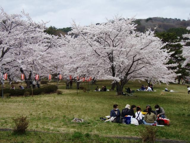 御所の台ふれあいパークの写真1