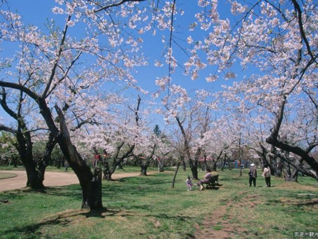 館山近隣公園の写真1
