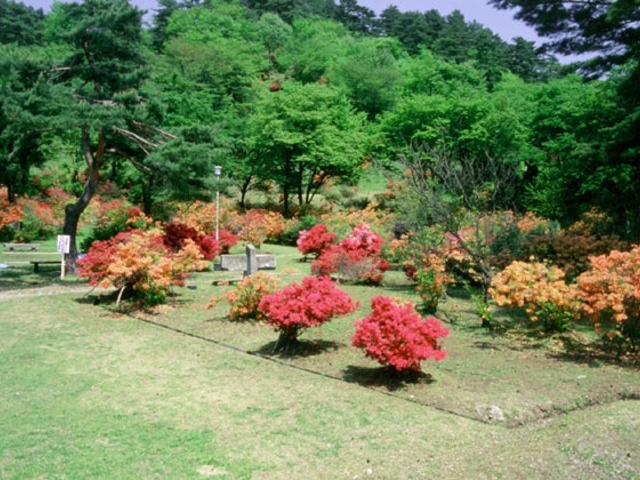 生保内公園の写真1