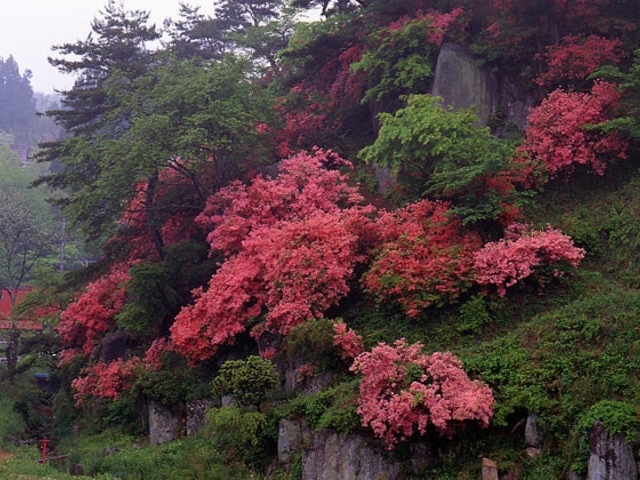 七尋石山公園の写真1
