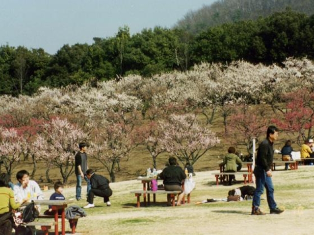 桐生市南公園の写真1