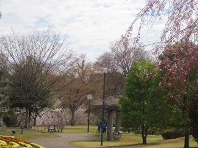 猿橋近隣公園