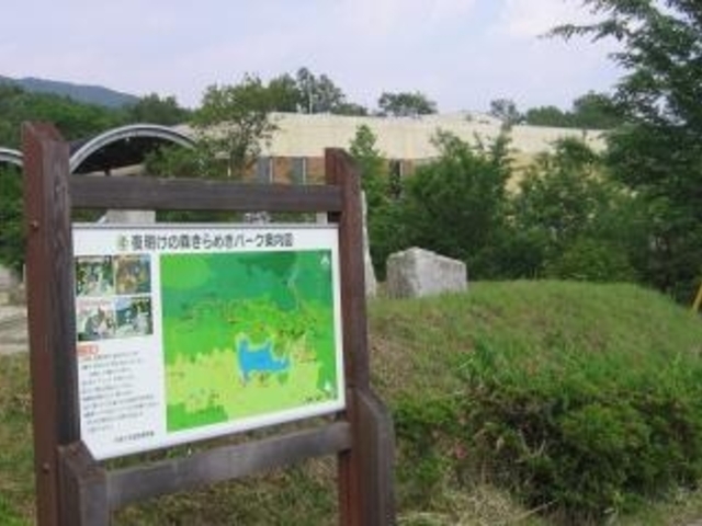 夜明けの森