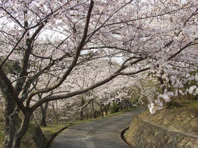 源氏山公園