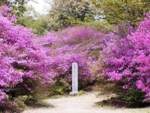 勝間田公園の写真1