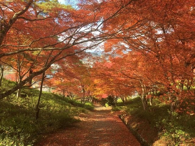 紫水ケ丘公園