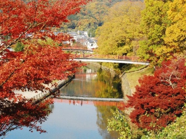 県立竜田公園の写真1