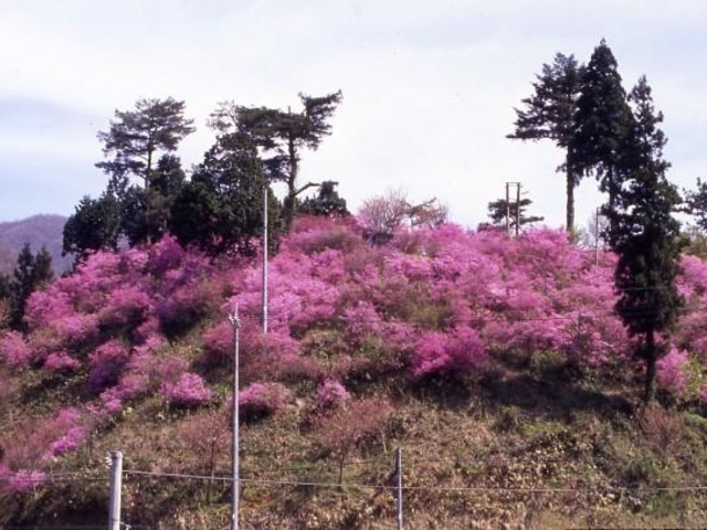 亀山公園の写真1