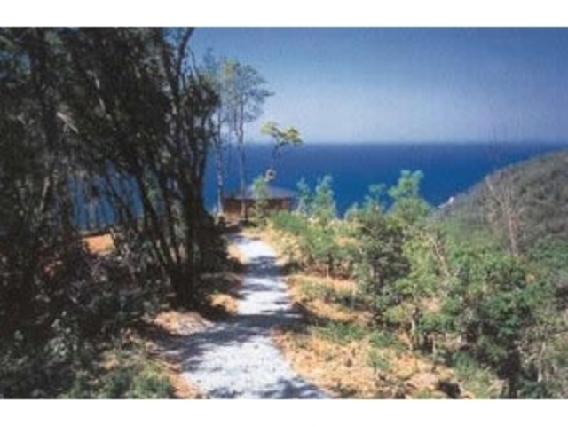 やすらぎの森宇生の写真1