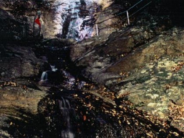 歌仙公園の写真1