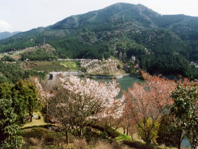 朝霧湖公園_朝霧湖公園