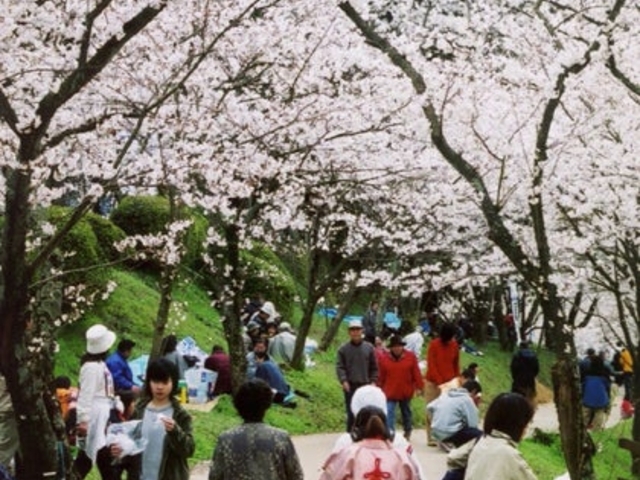 田代公園_田代公園