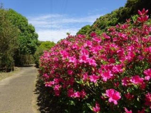 岳ノ木場公園