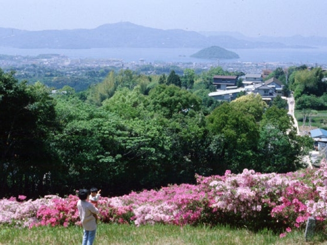 岳ノ木場公園
