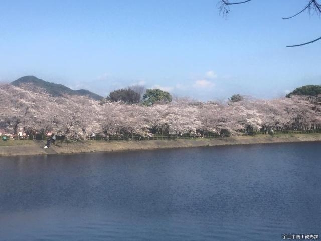 立岡自然公園の写真1