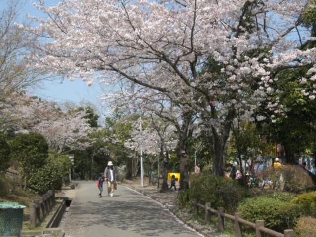 上野丘墓地公園の写真1