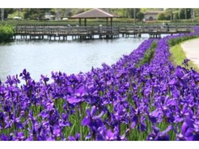 早水公園