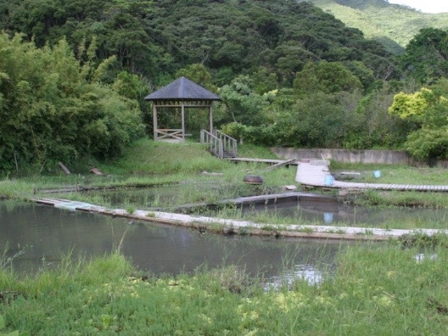本場奄美大島紬泥染公園の写真1