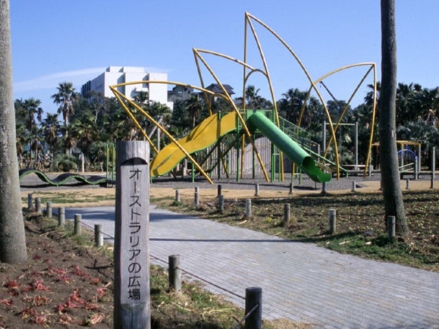 オーストラリアの森の写真1