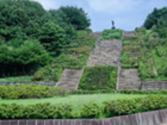 台原森林公園の写真1