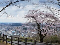富士山公園の写真1