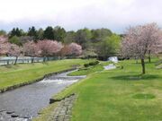 鹿部公園の写真2