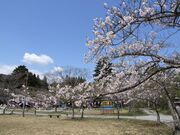 天神山公園の写真1