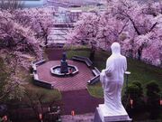 薬師公園の写真1