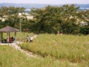 松山御本丸公園の写真1