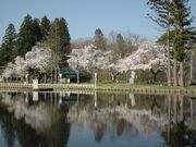鶴ケ池公園の写真1
